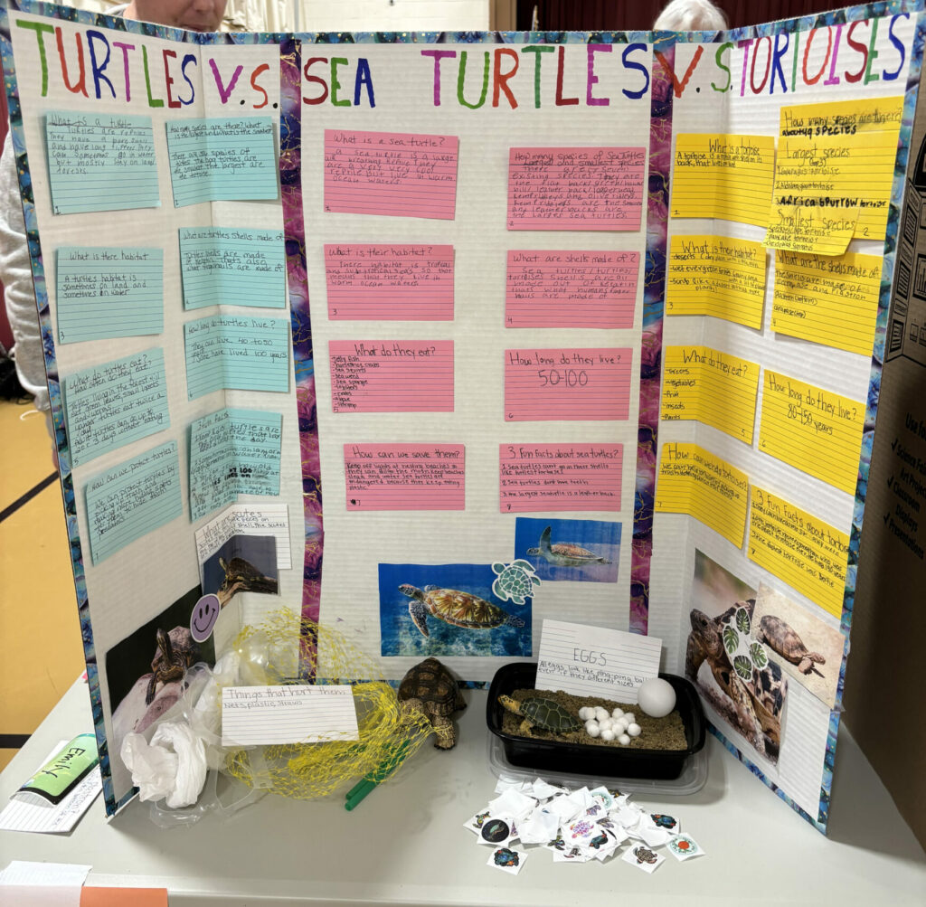 GALLERY: Center Elementary School Science Fair 2024 - Center Elementary ...