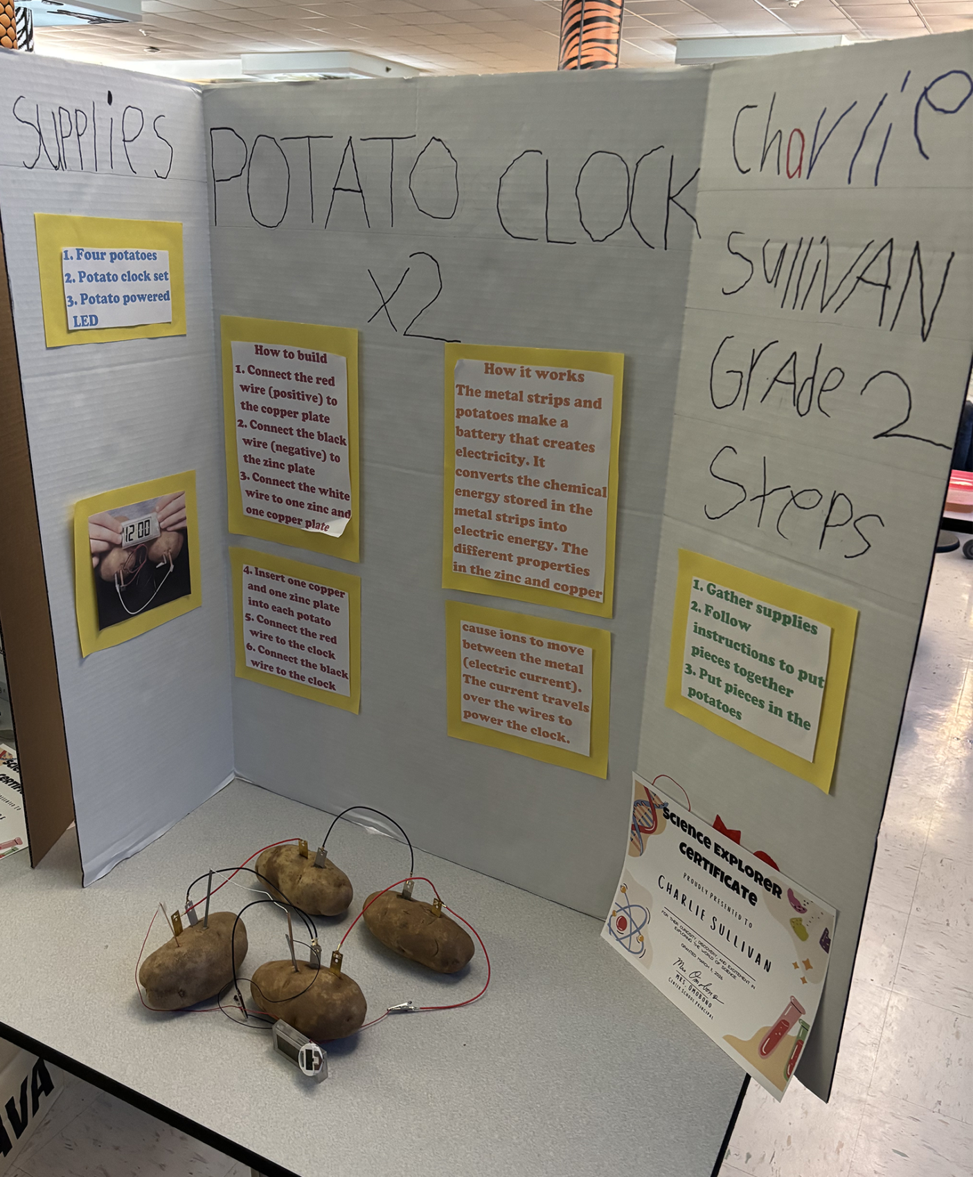 A Center Elementary School Science Fair project focused on potato clocks.