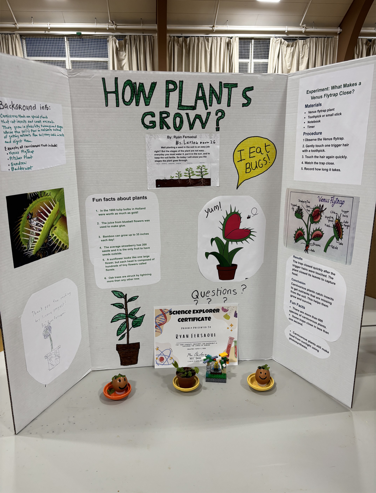 A Center Elementary School Science Fair project focused on how plants grow.