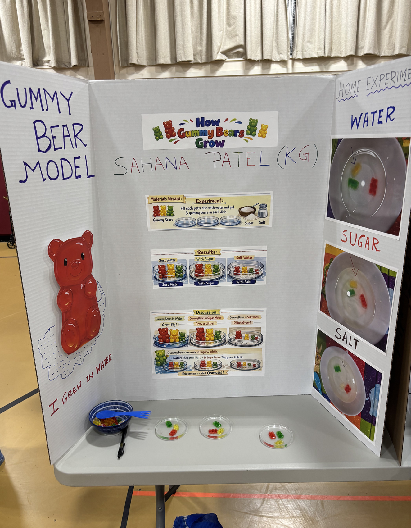 A Center Elementary School Science Fair project focused on gummy bears.