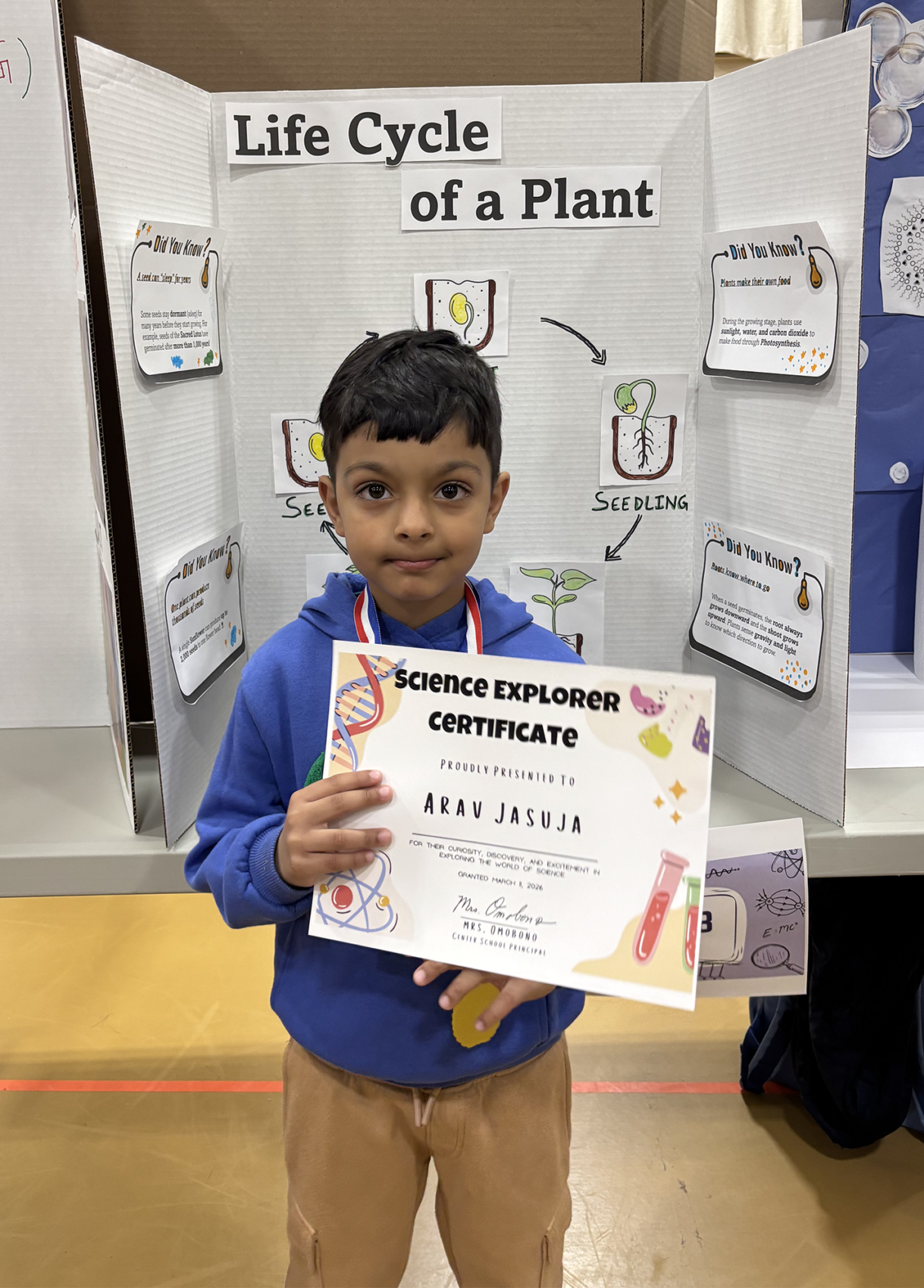 A Center Elementary School Science Fair project focused on the life cycle of a plant.