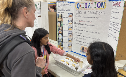 A Center Elementary School Science Fair project focused on oxidation.