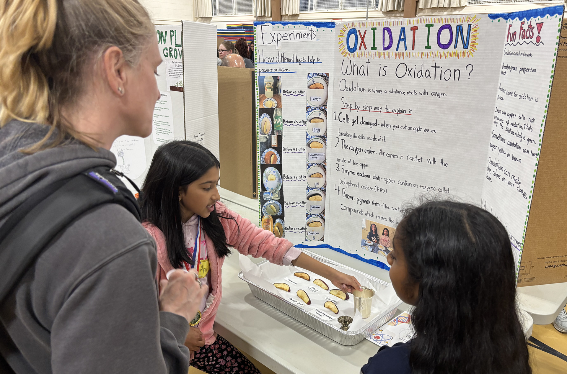 A Center Elementary School Science Fair project focused on oxidation.